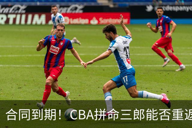 合同到期！CBA拼命三郎能否重返广东？期待辅佐徐杰、胡明轩